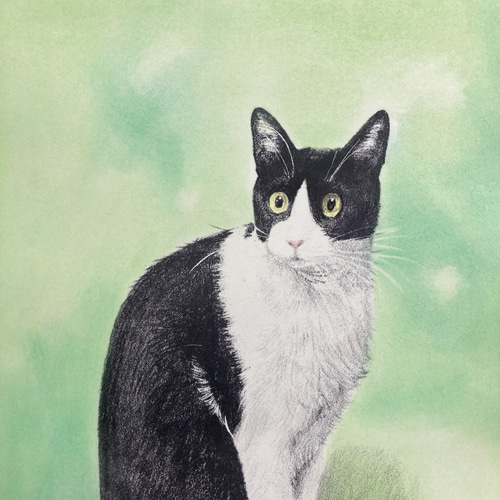 ハチワレ 猫 原画 クレヨン画 猫の絵 アクリル画no.68 ハチワレ猫 ポップアート 原画 - メルカリ