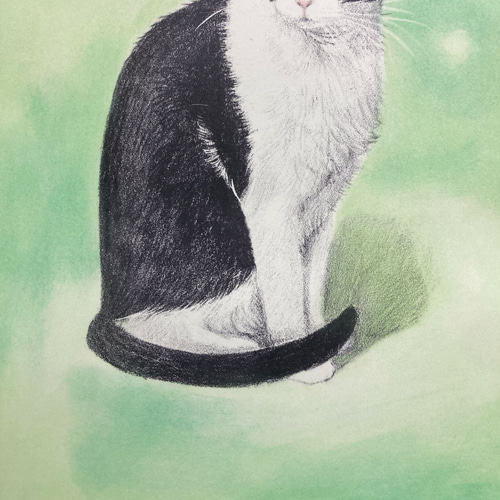 ハチワレ 猫 原画 クレヨン画 猫の絵195 水彩画 原画 ハチワレ猫 - メルカリ