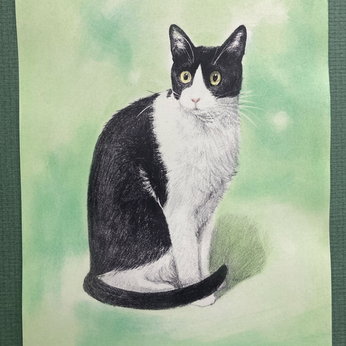 版画「ハチワレ猫（ミントグリーン）」 版画 takeshiro painting