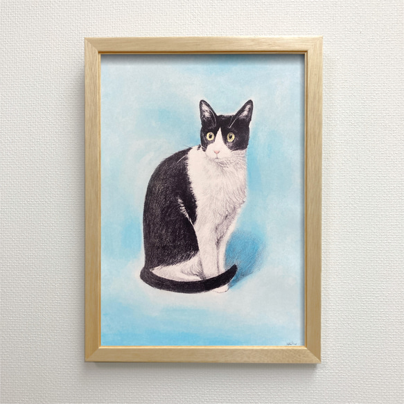 色鉛筆画 A4 ハチワレ猫126 色鉛筆画 A4 ハチワレ猫126