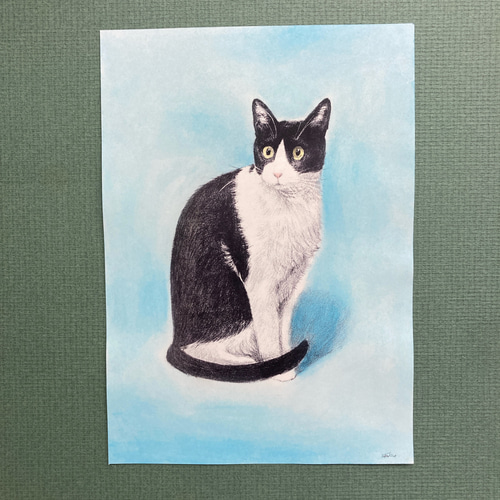色鉛筆画 見つめるハチワレ猫 A4サイズ - 絵画