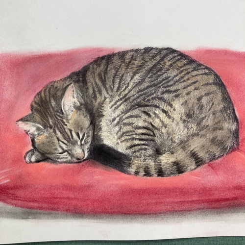 まるまるネコ　油絵 まるまるネコ油絵