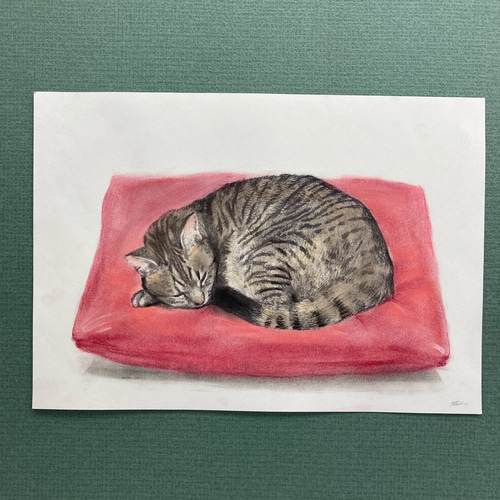 版画「丸まる猫（赤い座布団）」 版画 takeshiro painting 通販