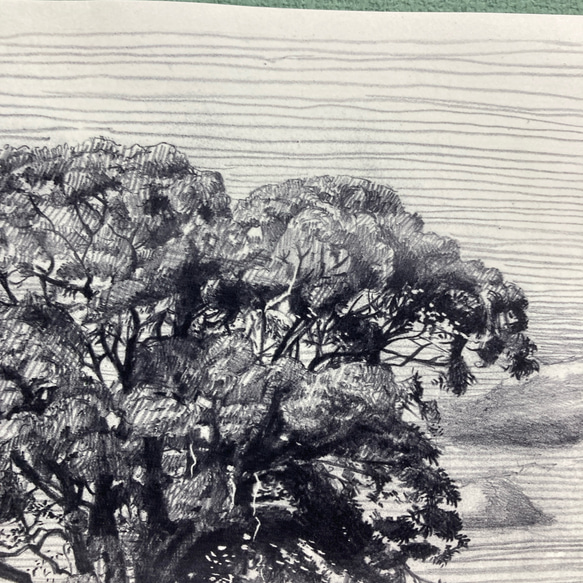 版画「大木」 8枚目の画像