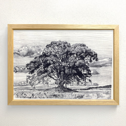 版画「大木」 1枚目の画像