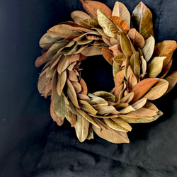 木ノ実のボールリース　フライングリース 秋の木の実のフライングボール* ドライフラワー Chêne 通販