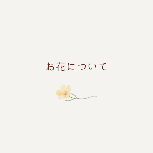 〖 当店のお花について 〗