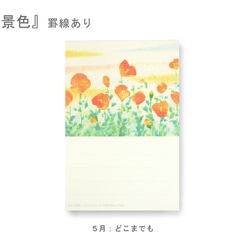 罫線つきポストカード12枚セット＊季節のご挨拶に＊『12の景色』シリーズ2024 10枚目の画像