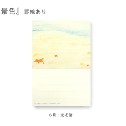 罫線つきポストカード12枚セット＊季節のご挨拶に＊『12の景色』シリーズ2024 11枚目の画像