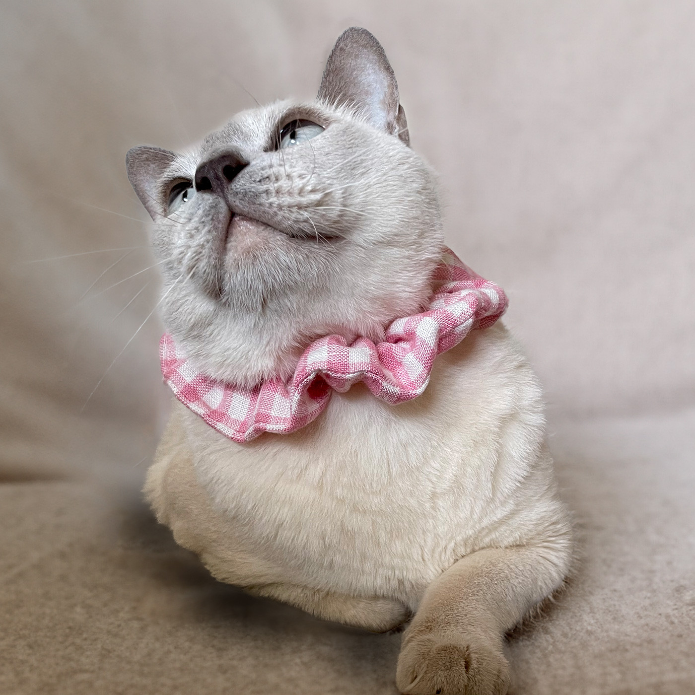 ＊お正月特価＊英国ヴィンテージ　猫さん375(9K)チャーム お正月特価＊英国ヴィンテージ 猫さん375(9K)チャーム