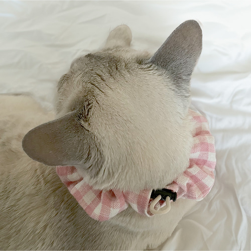 猫の日2025】犬 猫 首輪 | シュシュカラー ギンガムチェック