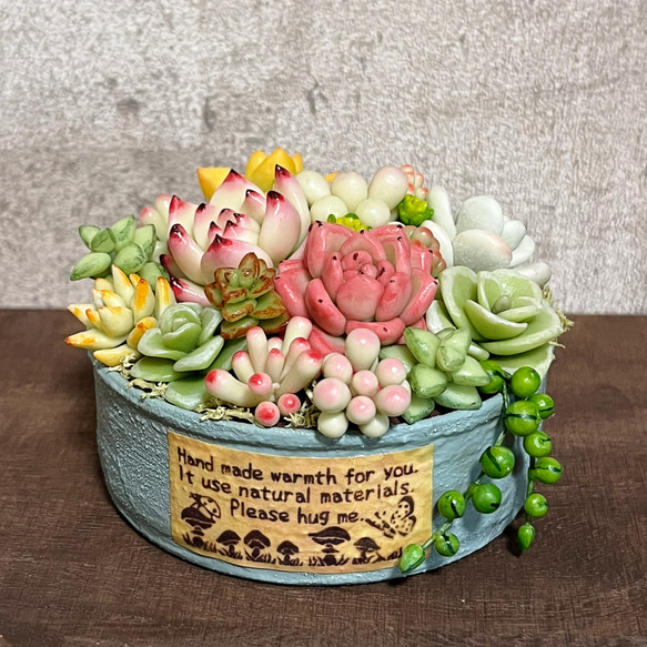 たっぷり多肉植物の寄せ植え缶 多肉植物 kotoriko garden 通販