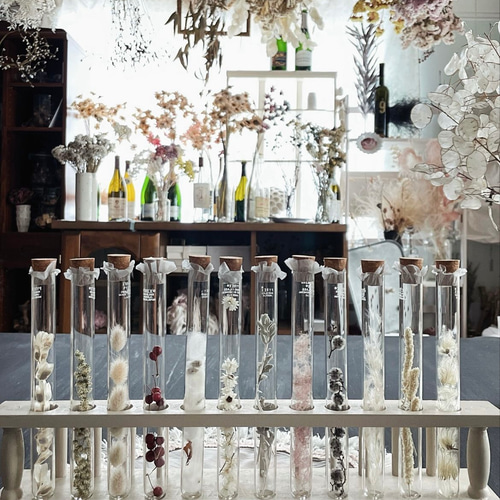 witch's LAB꙳† 試験管コレクション ① ポーション ドライフラワー