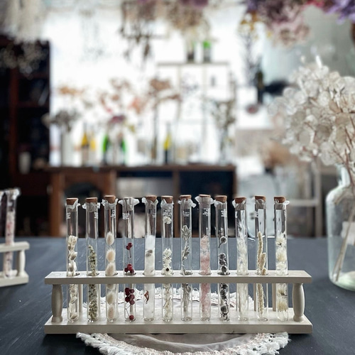 witch's LAB꙳† 試験管コレクション ① ポーション ドライフラワー