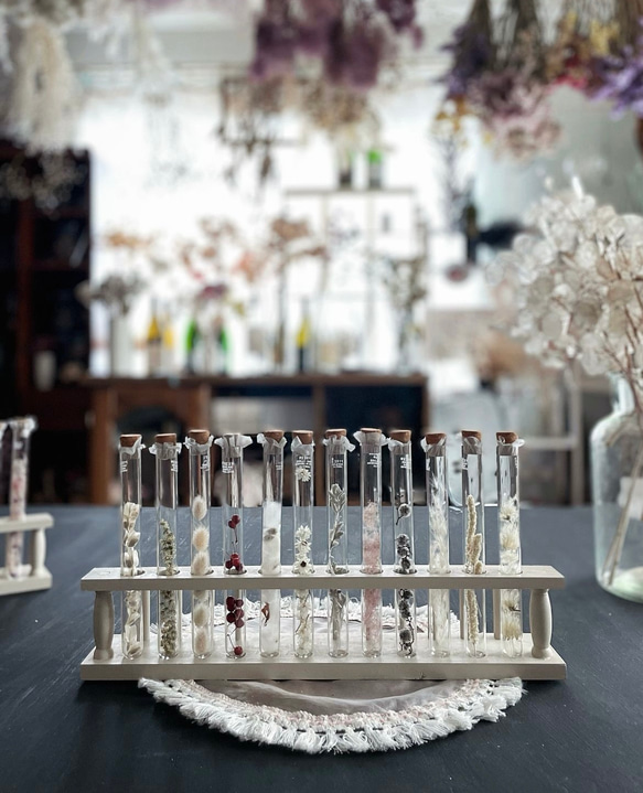 witch's LAB꙳† 試験管コレクション ① ポーション ドライフラワー