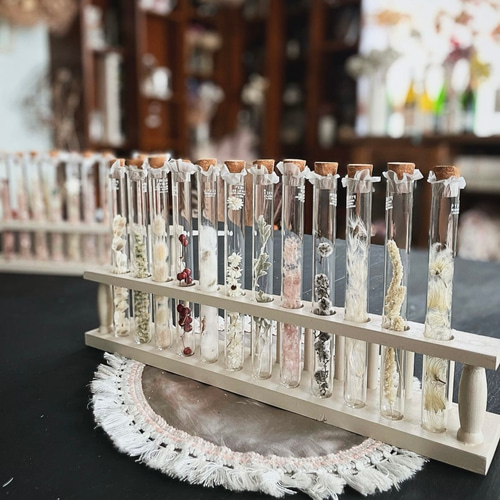 witch's LAB꙳† 試験管コレクション ① ポーション ドライフラワー