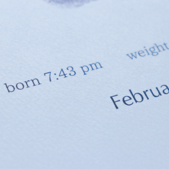 【命名書】シンプル 人気・おすすめ｜安定人気・収納便利におすすめ 期間限定割引 配送追跡可 国内発送・メーカー保証対応