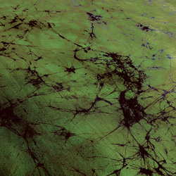 アフリカ タイダイ染め　抹茶色 4枚目の画像