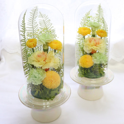 プリザーブドフラワー 仏花 ドーム 一対 「黄菊 対仕様」 初盆