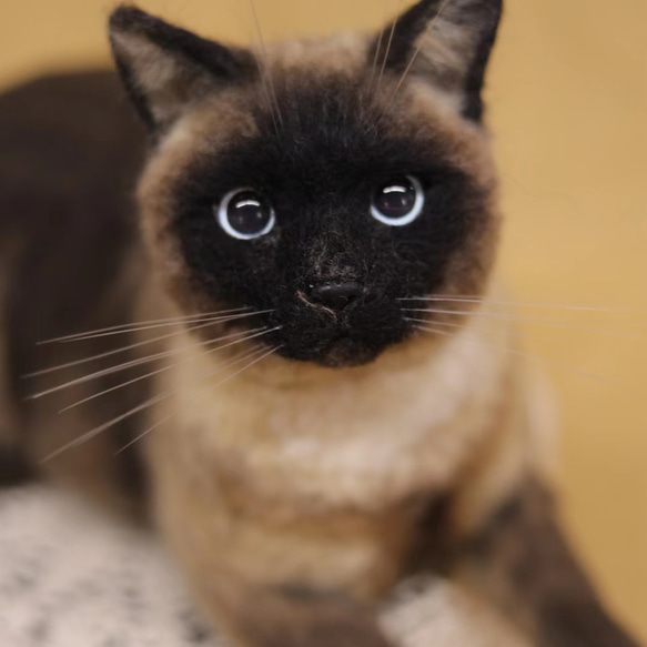 【オーダーメイドペット】羊毛フェルト、うちの子　猫ぬいぐるみ、フェルト猫、羊毛猫、肖像画、犬猫人形 プレゼントやギフトに 100% 模様