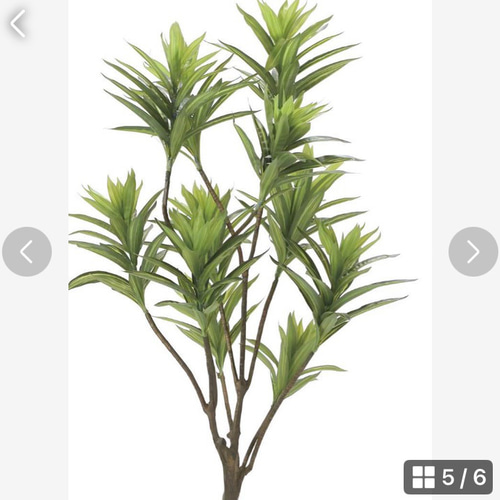 光触媒 人工観葉植物 ウォールグリーン フェイクグリーン フレッシュ