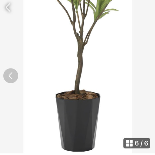 光触媒 人工観葉植物 ウォールグリーン フェイクグリーン フレッシュ