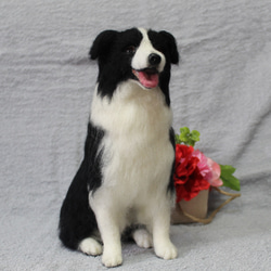 羊毛フェルト オーダー 「リアルで可愛いワンちゃん」ボーダーコリー