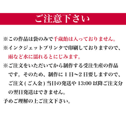 和モダンな鳥と紋様の七五三の千歳飴袋"小サイズ"名入れ無料 5枚目の画像