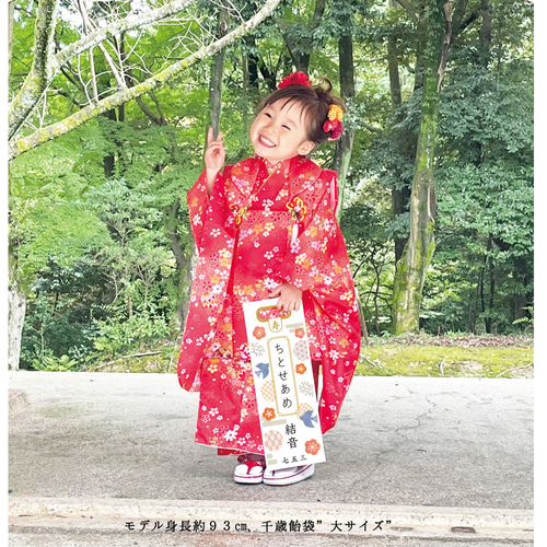 七五三 五歳‼️人と同じは苦手‼️今ならピカチュウで決まり‼️完全フルセット 美品 七五三 五歳‼️人と同じは苦手‼️今ならピカチュウで決まり