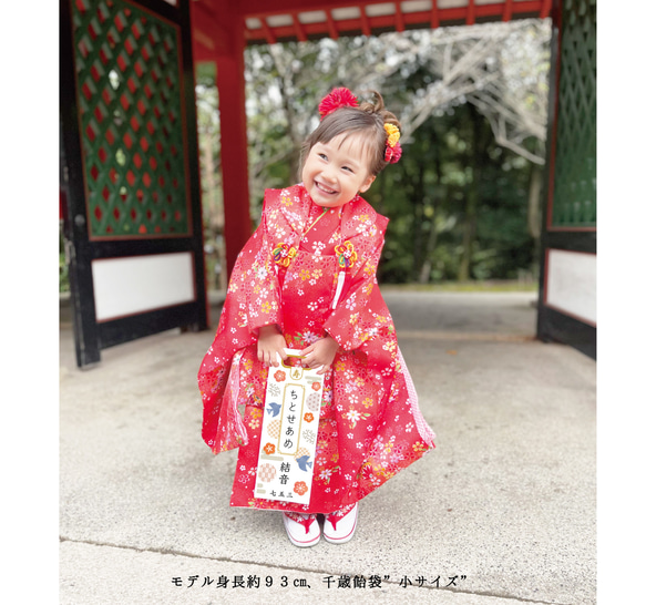 和モダンな鳥と紋様の七五三の千歳飴袋"小サイズ"名入れ無料 7枚目の画像