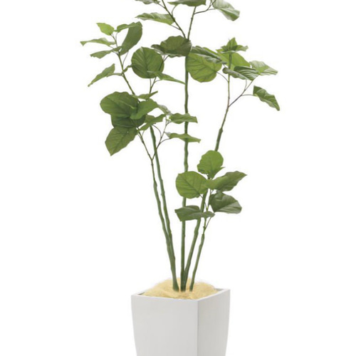光触媒　人工観葉植物　フェイクグリーン　アーバンブランチウンベラータ1.8m 光触媒 人工観葉植物 フェイクグリーン アーバンブランチ