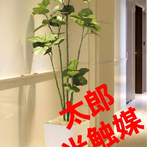 光触媒　人工観葉植物　フェイクグリーン　アーバンブランチウンベラータ1.8m 光触媒 人工観葉植物 フェイクグリーン アーバンブランチ