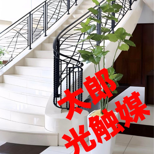 光触媒 人工観葉植物 フェイクグリーン アーバンブランチウンベラータ