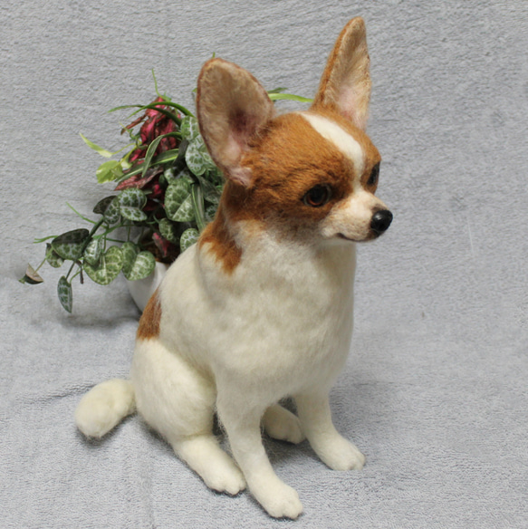 羊毛フェルト オーダー 「リアルで可愛いワンちゃん」チワワ ぬいぐるみ うちの子 ペット 犬 800円 送料込み