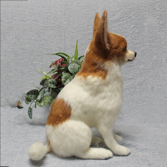 羊毛フェルト オーダー 「リアルで可愛いワンちゃん」チワワ ぬいぐるみ うちの子 ペット 犬 800円 送料込み