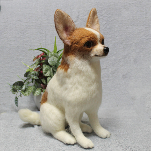 羊毛フェルト オーダー 「リアルで可愛いワンちゃん」チワワ ぬいぐるみ うちの子 ペット 犬 800円 送料込み