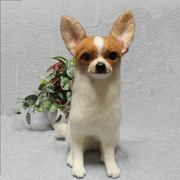 羊毛フェルト オーダー 「リアルで可愛いワンちゃん」チワワ ぬいぐるみ うちの子 ペット 犬 800円 送料込み