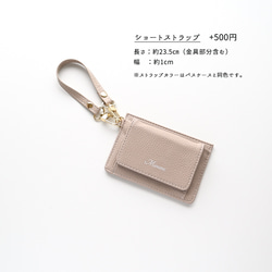 BOX型コインケース付き パスケース 【 simple - クラシック - 】 名入れ HA42A 10枚目の画像