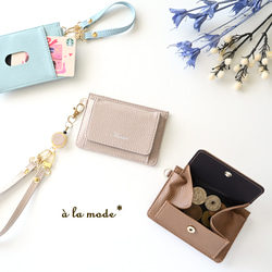 BOX型コインケース付き パスケース 【 simple - クラシック - 】 名入れ HA42A 1枚目の画像