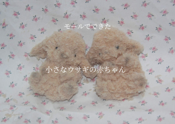【新作からSALEアイテム等お得な商品満載】 茶色 ホーランドロップのうさぎちゃん 受注制作 Lily ぬいぐるみ ぬいぐるみ