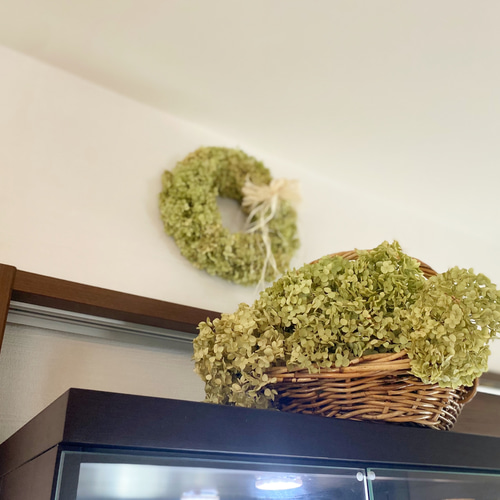 季節限定✨大きなアナベルドライフラワーリース アナベルリース リース