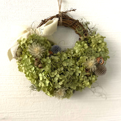 アナベルリース Amazon｜プリザーブドフラワーFiNE プリザーブドフラワー