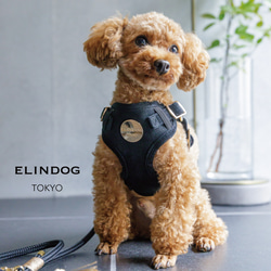 パラコードリード　幅広　ダブルハート編み　フリンジ付　中型犬　大型犬　№068 パラコードリード 大型犬 中型犬 ダブルハート編みリード リード