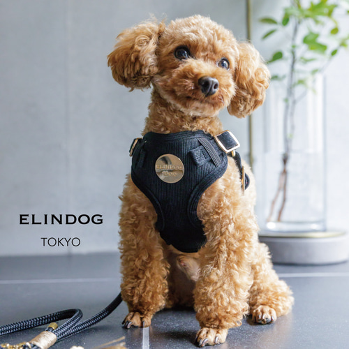 脱着簡単ハーネス♡ゴールド金具がおしゃれ♡【超小型犬にも対応】新色