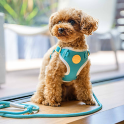 パラコードリード　幅広　ダブルハート編み　フリンジ付　中型犬　大型犬　№068 パラコードリード 幅広 ダブルハート編み フリンジ付 中型犬