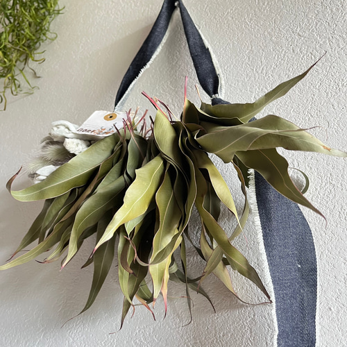 レモンユーカリ 壁掛け wreathe 2024 リース GORICHA 通販