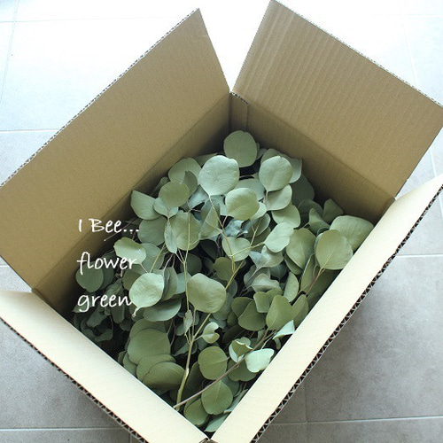 お得なユーカリ詰め放題‼ ドライフラワー I Bee...flower&green 通販 
