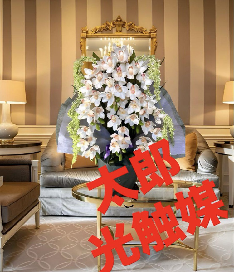 光触媒　人工観葉植物　ウォールグリーン　フェイクグリーン　胡蝶蘭１０本立て札付 光触媒人工観葉植物ウォールグリーンフェイクグリーン胡蝶蘭7846@@1