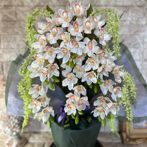 光触媒 人工観葉植物 ウォールグリーン フェイクグリーン 胡蝶蘭