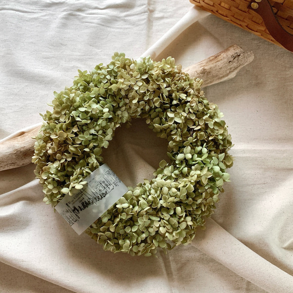 アナベル紫陽花リース